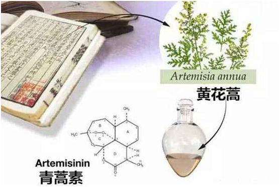 星空在线,星空（中国）：向中医药看齐，与世界共享中医药文化(图1)